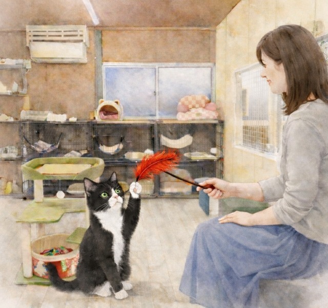 保護猫譲渡かフリースペースの様子