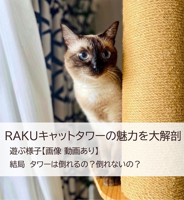 RAKUキャットタワーの口コミ倒れない秘密