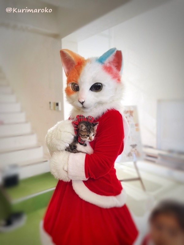 ひめみちゃんねこわんライク犬猫譲渡会クリスマスイベント