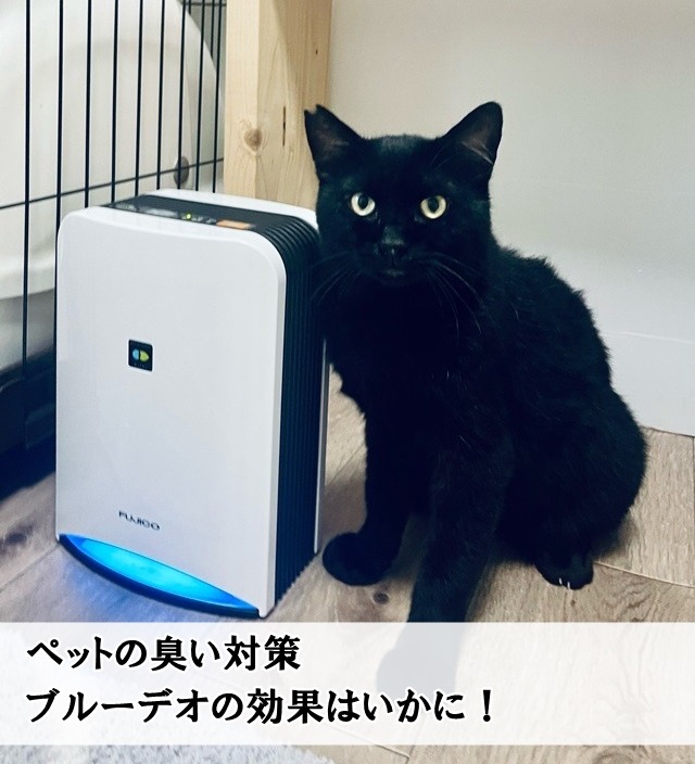 気になるブルーデオの口コミ【実際に猫部屋に設置した効果とレビュー 