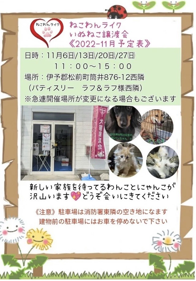 2022年11月愛媛県犬猫譲渡会チラシ