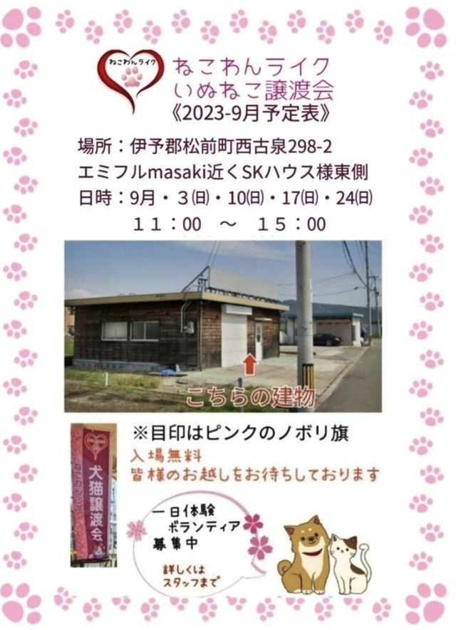 愛媛県犬猫譲渡会情報告知2023年9月
