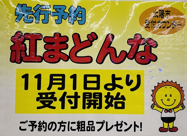 先行予約紅まどんな　愛媛JA中央農協