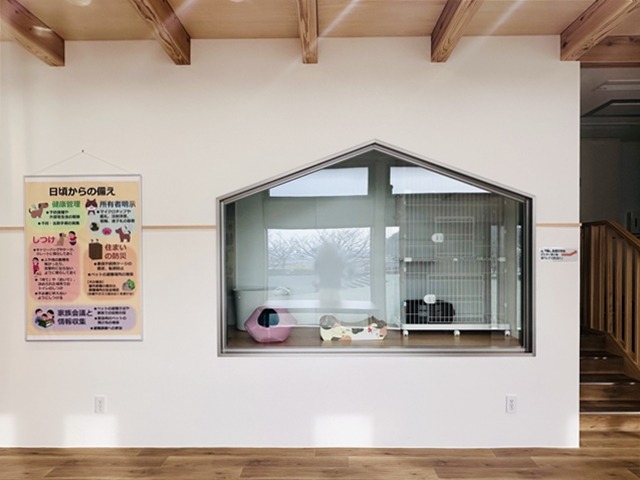 松山市動物愛護施設はぴまるの丘猫展示エリア