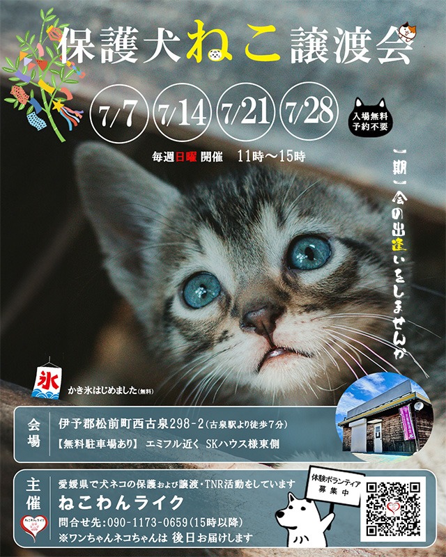 2024年7月保護犬猫譲渡会チラシねこわんライク