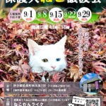 2024年９月保護犬猫譲渡会チラシ里親募集中