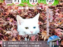 2024年９月保護犬猫譲渡会チラシ里親募集中