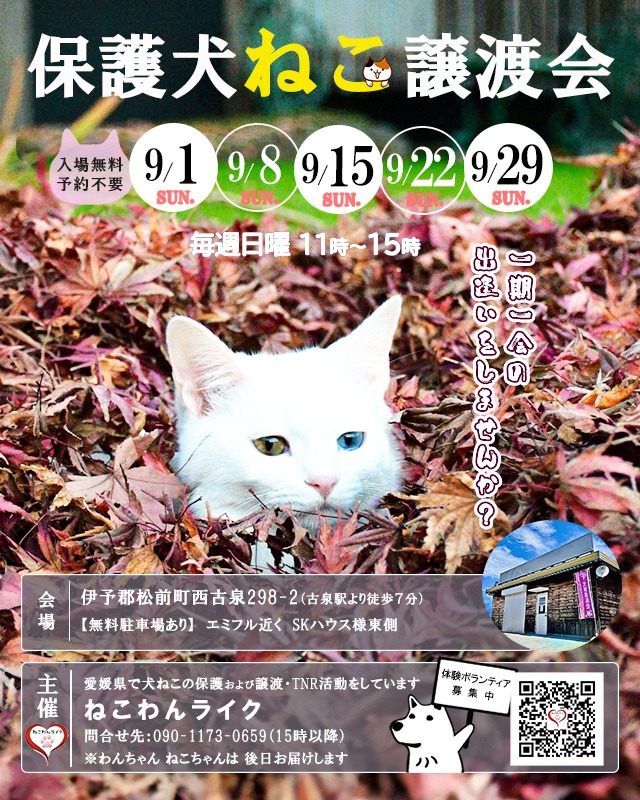 2024年９月保護犬猫譲渡会チラシ里親募集中