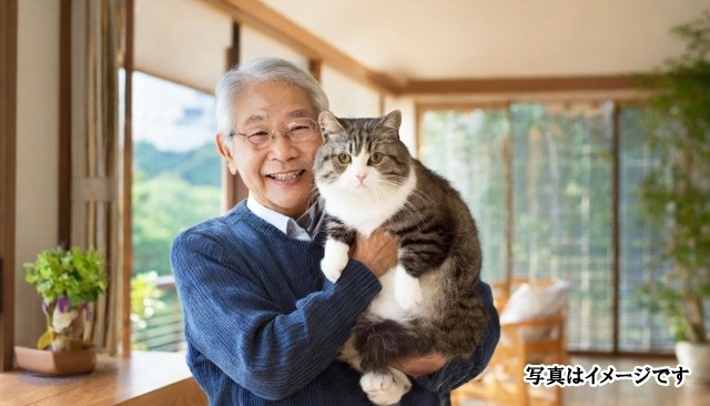 高齢者も可！保護猫の里親になれる