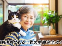 高齢者も可猫の里親になれる