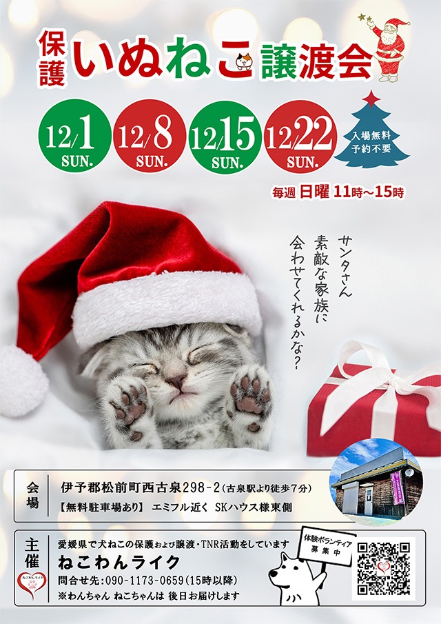 保護犬猫譲渡会クリスマスチラシ