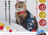 2025年1月保護犬猫譲渡会チラシ