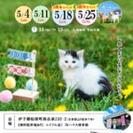 2025年5月保護犬猫譲渡会チラシ愛媛県