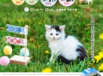 2025年5月保護犬猫譲渡会チラシ愛媛県