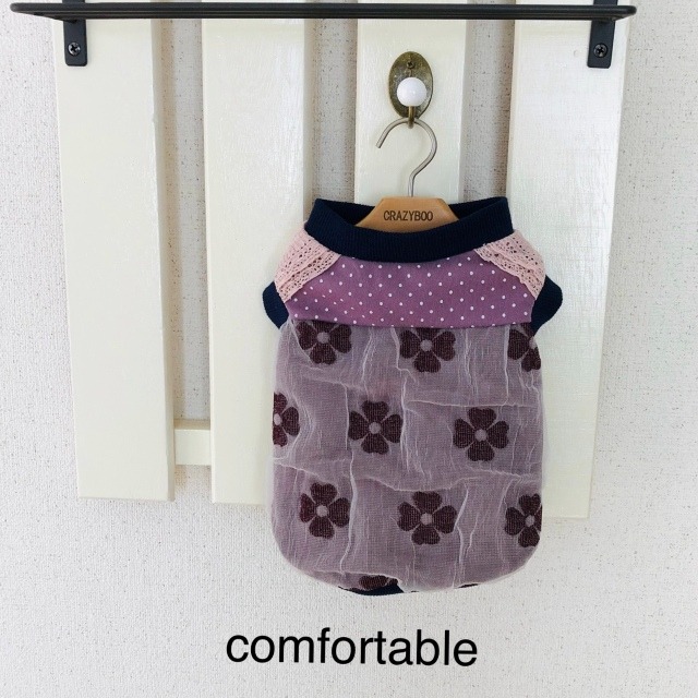 ねこわんライク保護犬猫譲渡会愛媛県イベント