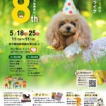 ねこわんライク保護犬猫譲渡会愛媛県イベント