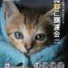 2025年07月保護犬猫譲渡会チラシ