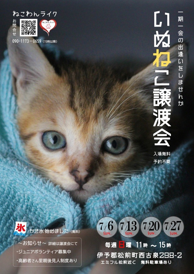 2025年07月保護犬猫譲渡会チラシ