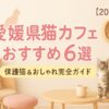 愛媛県のおすすめ猫カフェ