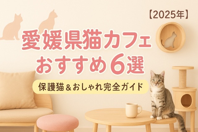 愛媛県のおすすめ猫カフェ