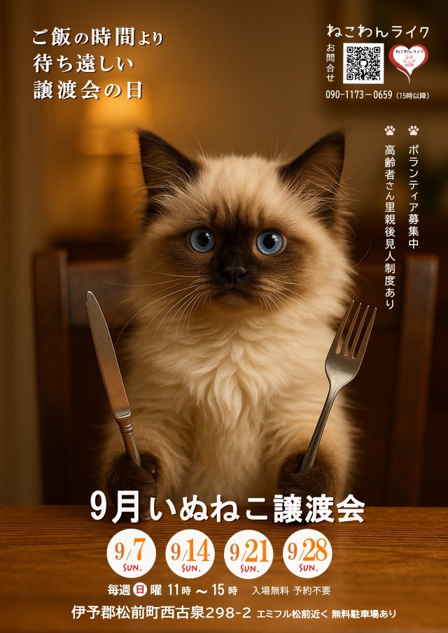 202509譲渡会のチラシ