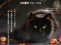 202510保護犬猫譲渡会のチラシ