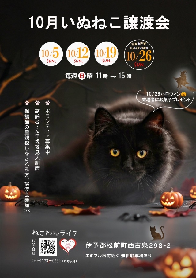 202510保護犬猫譲渡会のチラシ