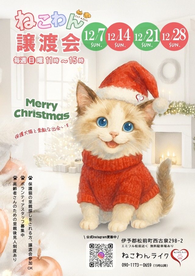 202511保護犬猫譲渡会チラシ