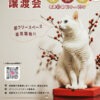 2026/1保護犬猫譲渡会チラシ