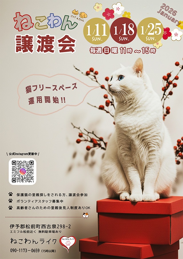 2026/1保護犬猫譲渡会チラシ
