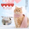2026/1保護犬猫譲渡会チラシ