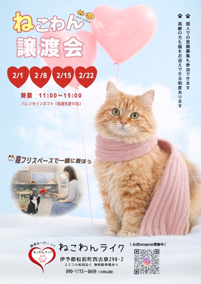 2026/1保護犬猫譲渡会チラシ