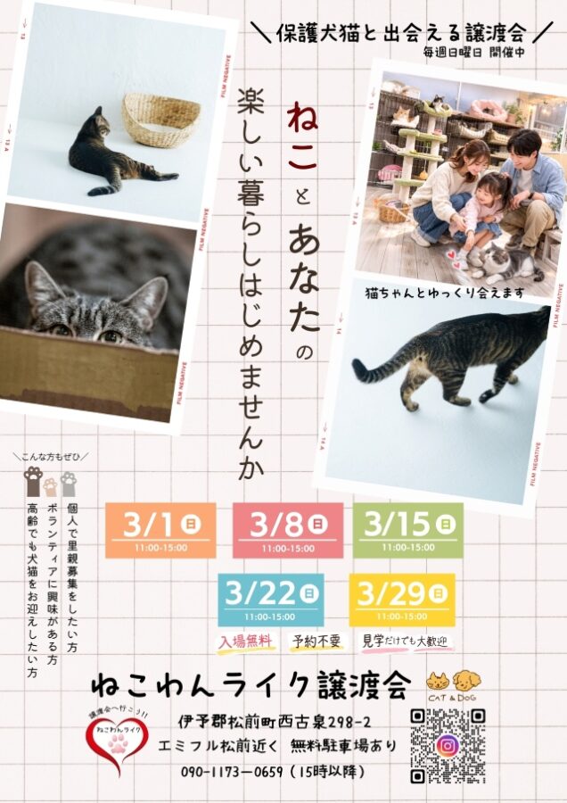 202603ねこわんライク犬猫譲渡会チラシ