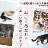202603ねこわんライク犬猫譲渡会チラシ