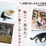 202603ねこわんライク犬猫譲渡会チラシ