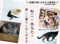 202603ねこわんライク犬猫譲渡会チラシ