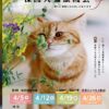 202604保護猫譲渡会チラシ