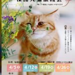 202604保護猫譲渡会チラシ