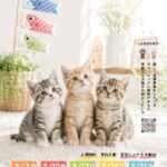202605月保護犬猫譲渡会チラシ