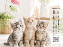 202605月保護犬猫譲渡会チラシ