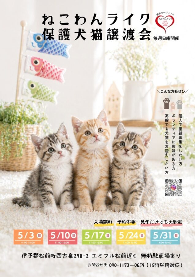 202605月保護犬猫譲渡会チラシ