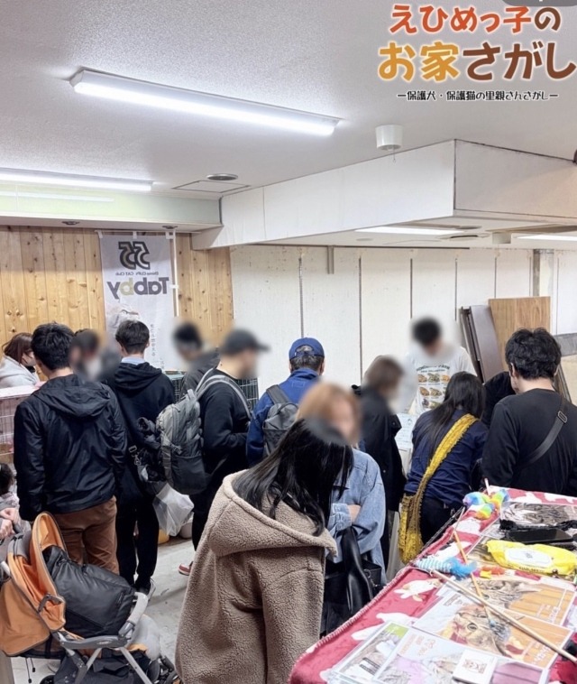 日の丸牧場ヒキガエル出店イベントの様子