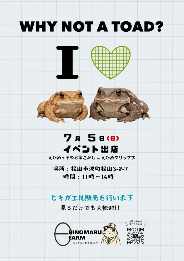 ミヤコヒキガエルニホンヒキガエル出店イベントチラシ