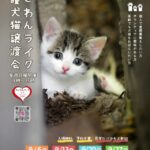 譲渡会チラシ