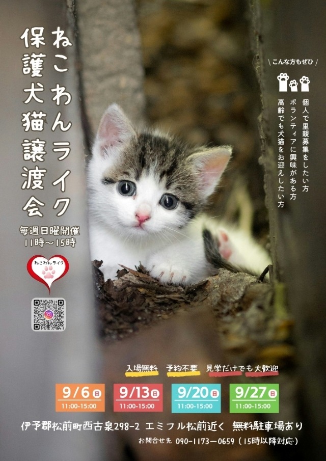 譲渡会チラシ