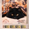202610保護犬猫譲渡会チラシ