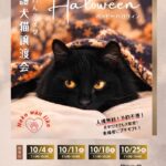 202610保護犬猫譲渡会チラシ