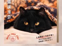 202610保護犬猫譲渡会チラシ