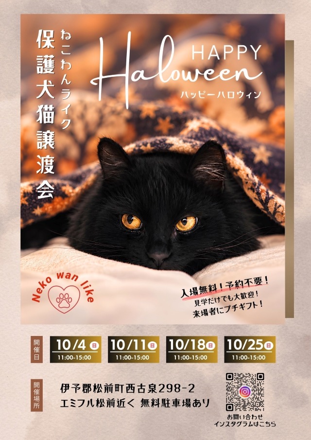 202610保護犬猫譲渡会チラシ